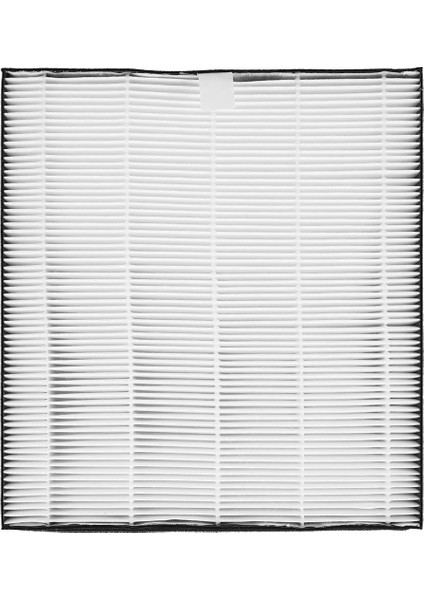 Arıtma DE5206 DE5205 Arıtma Hepa Filtre Hepa Filtre FY1119 Için Uygun (Yurt Dışından)