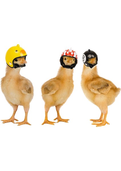 Koruyucu Tavuk Kafası Tasarım Şapka 2 Parçalı Set (Yurt Dışından) fırsatları