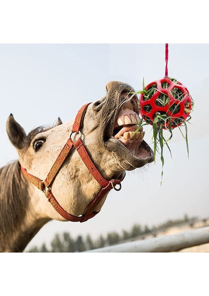 At Molası Asmalı Saman Yemliği, 2 Parça (Yurt Dışından) modelleri
