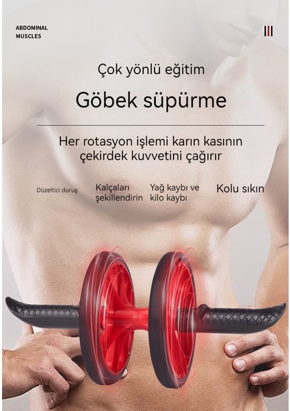 Karın Tekerleği Kasları Iki Turda Ayrılabilir (Yurt Dışından) fiyatları