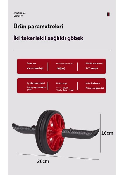 Karın Tekerleği Kasları Iki Turda Ayrılabilir (Yurt Dışından) modelleri