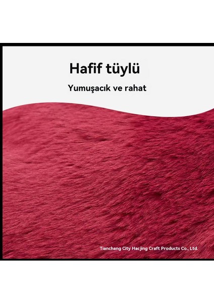 Karikatür Stitch Çilek Ayı Su Doldurulmuş El Isıtıcısı (Yurt Dışından) fırsatları