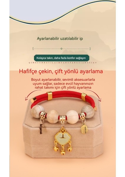 Yaka ile Evcil Hayvan Böcek Kovucu Çan Kedi (Yurt Dışından) fiyatları