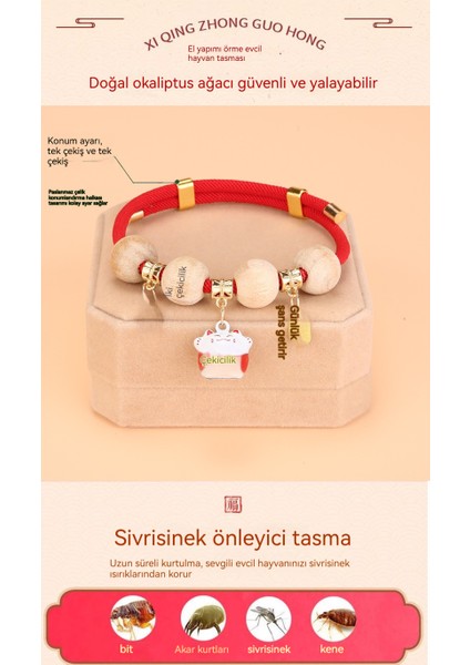 Yaka ile Evcil Hayvan Böcek Kovucu Çan Kedi (Yurt Dışından) modelleri