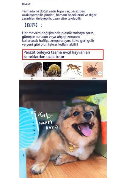 Yaka ile Evcil Hayvan Böcek Kovucu Çan Kedi (Yurt Dışından) fırsatları