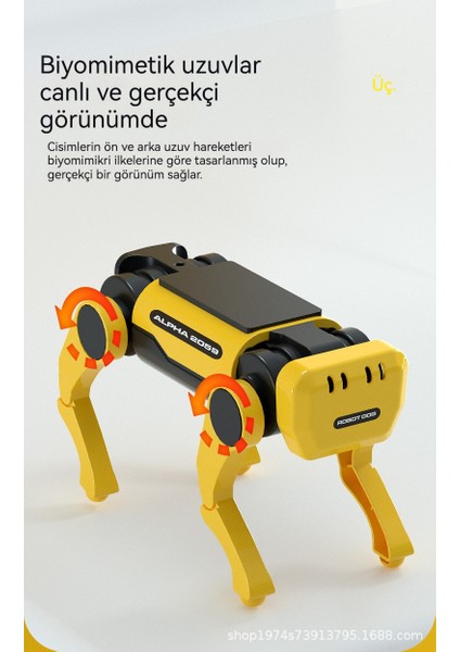Çocuk Güneş Otomatik Robot (Yurt Dışından) modelleri
