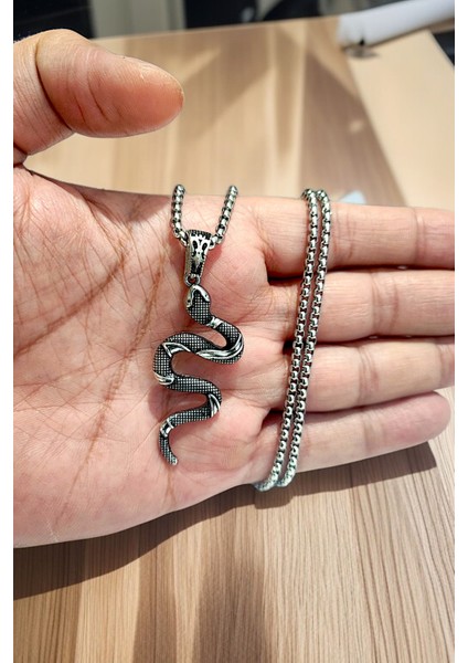 Gümüş Kaplama Krom-Çelik Erkek Kolyesi (California Milk Snake) Yılan Madalyon