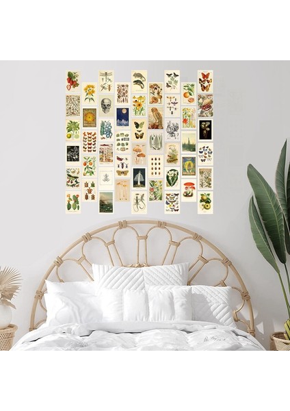 Vintage Estetik Duvar Kolaj Seti - Trend Fotoğraf Duvarı Için 50 Mini Botanik Kolaj Sanatı Posteri (4x6 Inç) (Yurt Dışından) indirimleri