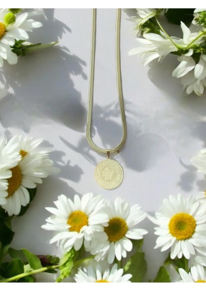 Çeyrekli Paslanmaz Çelik Set Cns 020 fiyatları