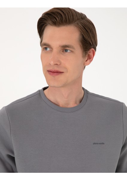 Erkek Gri 3 Iplik Regular Fit Içi Polarlı Bisiklet Yaka Basic Sweatshirt 50315021-VR024 fiyatları