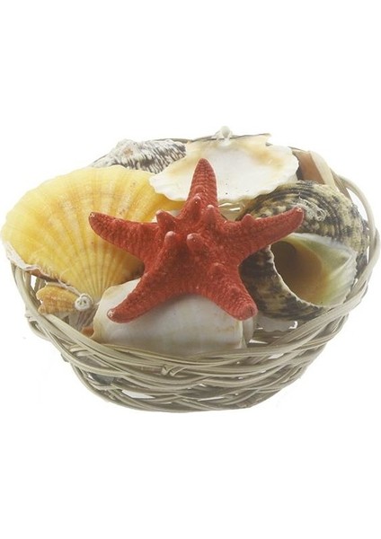 Deniz Kabuğu Dekor Sepet No:3