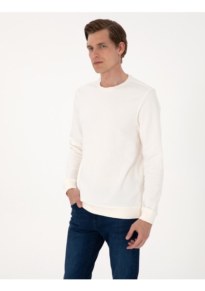 Erkek Ekru 3 Iplik Regular Fit Bisiklet Yaka Basic Sweatshirt 50314978-VR019 modelleri