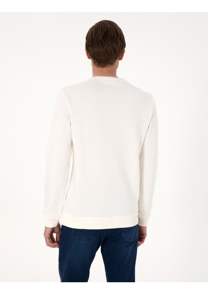 Erkek Ekru 3 Iplik Regular Fit Bisiklet Yaka Basic Sweatshirt 50314978-VR019 indirimleri