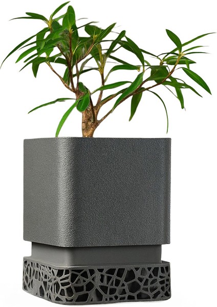 Modern Mat Yüzeyli Dekoratif Saksı