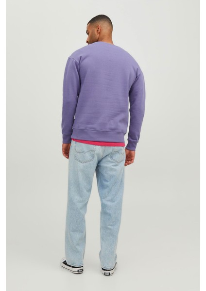 JORSILVERLAKE SWEAT CREW Mor Erkek Sweatshirt modelleri