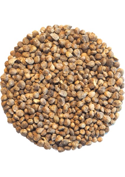 Ispanak Mikro Yeşillik Tohumu, Matador Çeşidi, 15 Gram modelleri