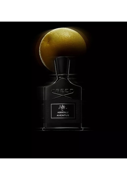 Creed Millesime Absolu Aventus EDP Erkek Parfüm 100 ml fiyatları