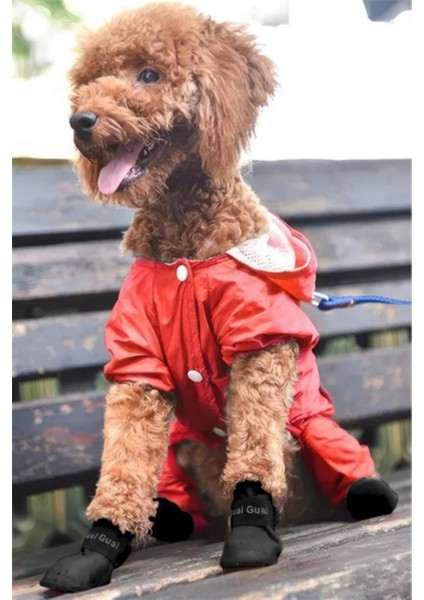 Kedi ve Köpek Pati Ayakkabısı – Silikon Kaymaz Tabanlı, Cırt Cırtlı, Çok Renkli & Farklı Beden Seçenekleri (Stoktan Gönderim) modelleri