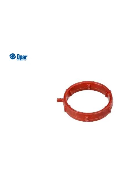 Toroidal Conta O-Ring - C4 x (C43) Opar 9813216680 9813216680