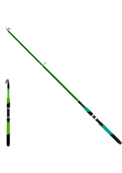 Remıxon Speed 3.00M 20-60GR Tele Kamış Green