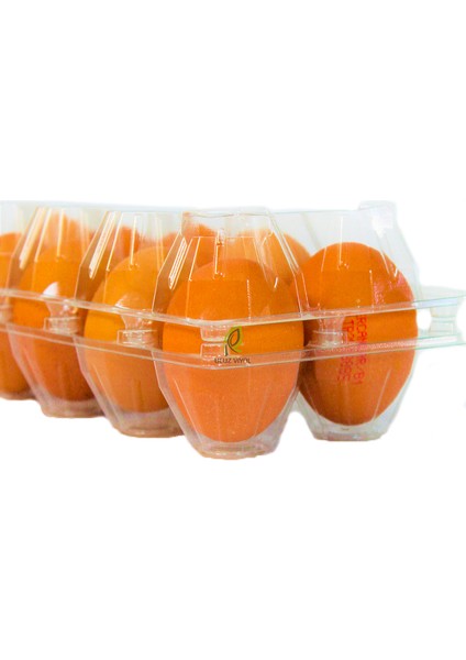 10'lu Plastik Yumurta Viyolü 350 Adet indirimleri