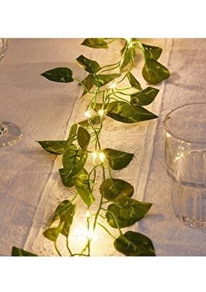 Dekoratif Ogwanto Yeşil Yapraklı Yapay 230CM Sarmaşık ve 3mt Peri LED Gün Işığı modelleri