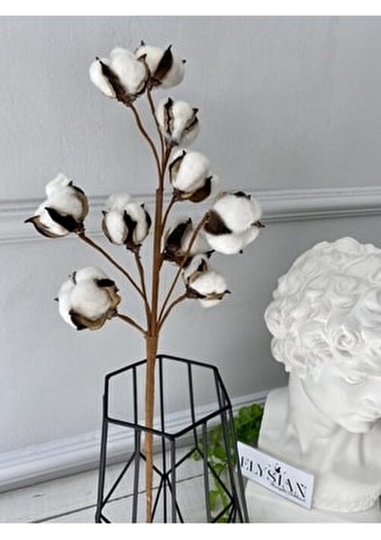 Doğal Pamuk Dalları 1 Dal 10LU Pamuklar Dekoratif Beyaz Yapay Çiçek Minimal Dekor modelleri