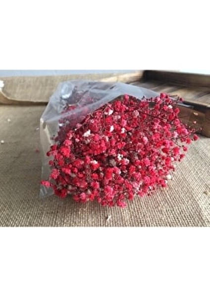 Kırmızı Kuru Çiçek Doğal Kurutulmuş Cipso Şık Dekoratif Model