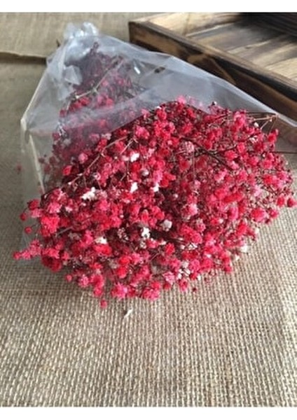 Kırmızı Kuru Çiçek Doğal Kurutulmuş Cipso Şık Dekoratif Model fiyatları