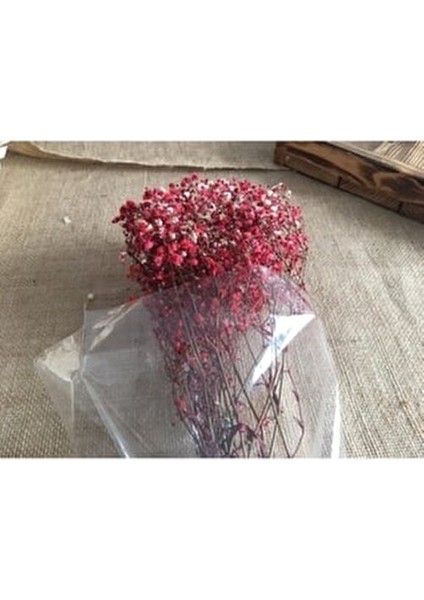 Kırmızı Kuru Çiçek Doğal Kurutulmuş Cipso Şık Dekoratif Model modelleri