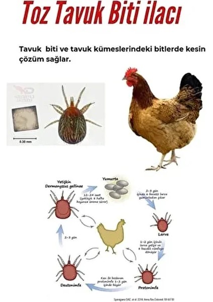 Toz Biti Gece Biti Canhiper 200GR Uyuz Ilacı Tavuk Biti Ilacı Uyuz Ilacı Kullanma Kılavuzu Ekitap