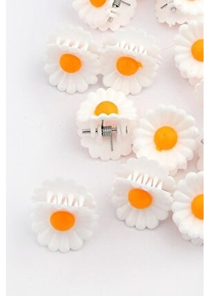 Kadın 10'lu Papatya Küçük Mandal Toka Seti fiyatları