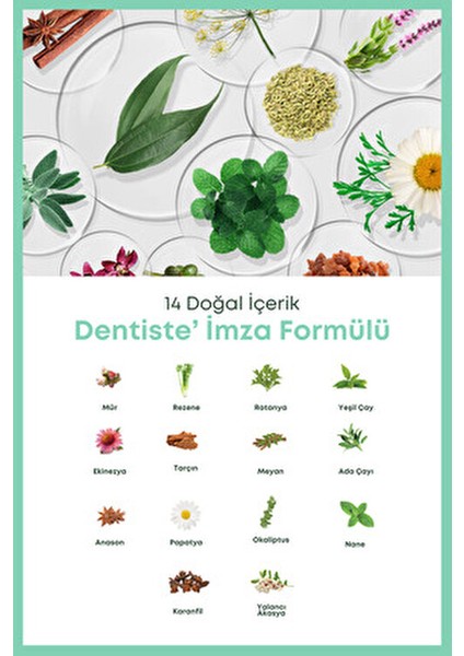 %100 Doğal Diş Macunu Bitkilerin Gücü