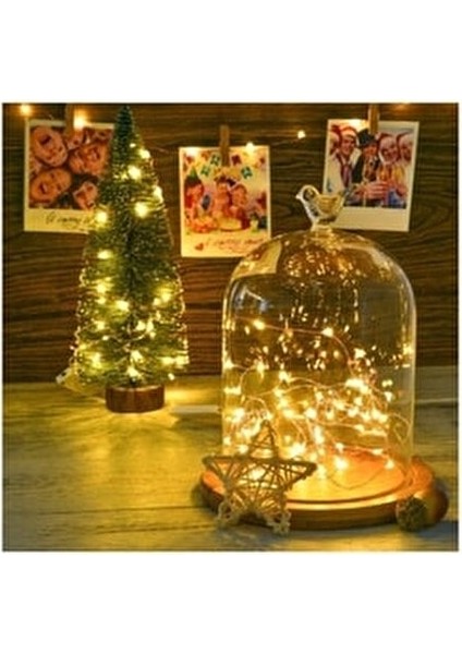 SL-1021 3 Metre Pilli Dekoratif Işık Gün Işığı Renkli Esnek Tel Özellikli