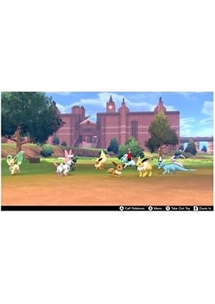 Pokemon Sword Nintendo Switch Oyun