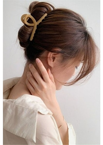 Kadın 4'lü Siyah-Kahve Fiyonk Mandal Toka Seti fiyatları