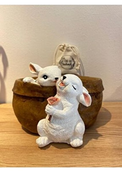 Sevgili Tavşanlar Saksı Çiçekli Tavşan Biblo fiyatları