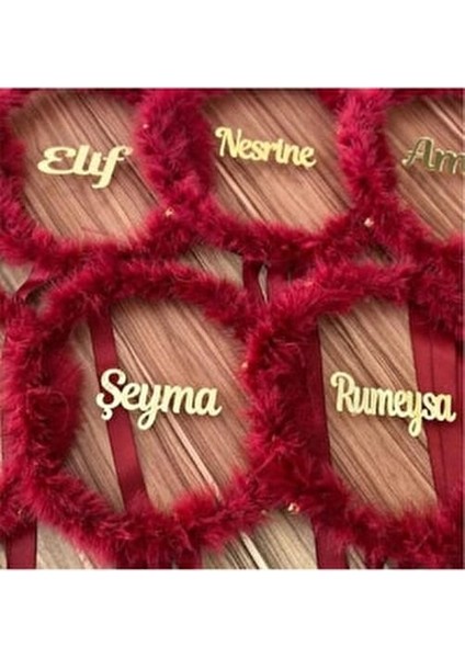 Isme Özel Tüylü Gelin Tefi Vurmalı Çalgı Müzik Aleti Plexi Yazılı