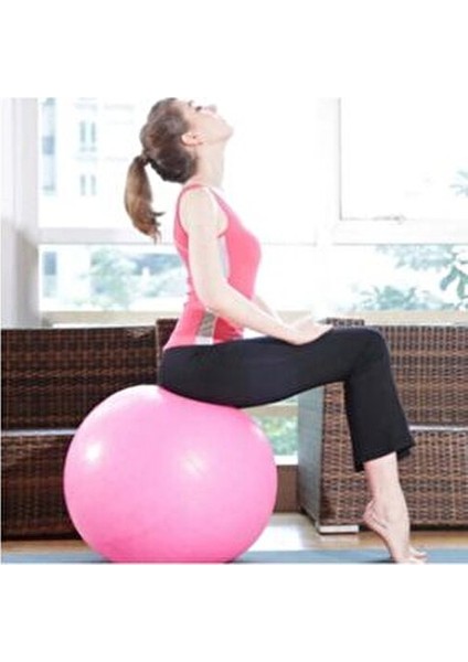 Plates Topu Denge Yoga Spor Egzersiz Topu Jimnastik Fitness Top + Pompa