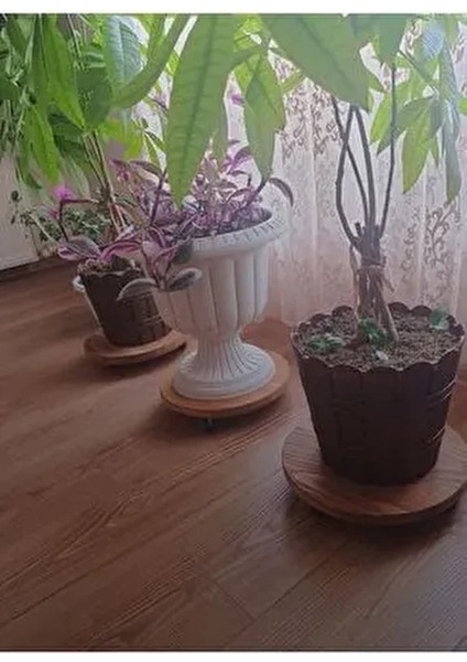 Ahşap Tüp Damacana Saksı Altlığı