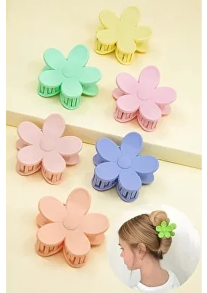 Kadın 6lı Renkli Papatya Mandal Toka Seti Soft Tonlar