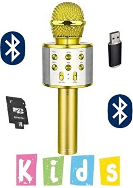 Karaoke Mikrofon Dahili Hoparlör Ses Değiştirme Efektli Çocuklar İçin USB Destekli