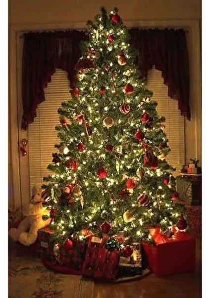 Yılbaşı Çam Ağacı 1.kalite 210CM 720 Dallı Demir Ayak Özel Kutusunda