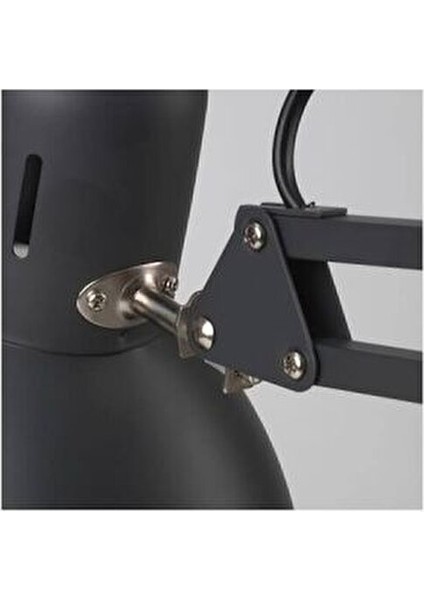 Tertial Çalışma Masası Lambası modelleri