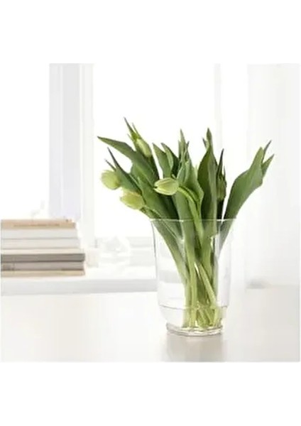 Vazo & Mumluk Çok Fonksiyonlu Cam 18 cm Ağız Çapı 14 cm