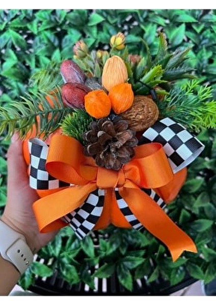 Kabak Dekor fiyatları