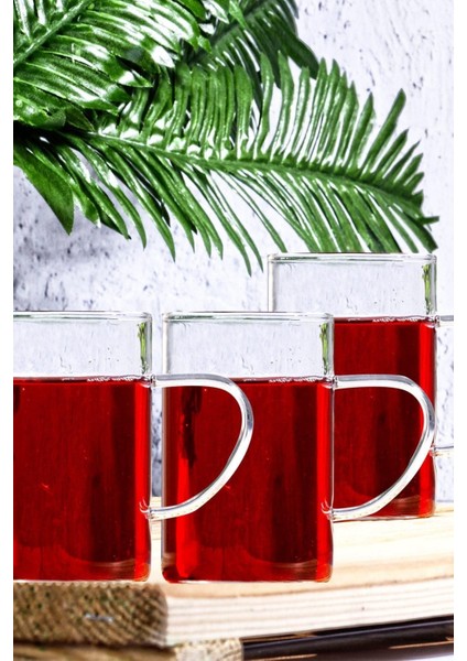 3 Adet Borosilikat Isıya Dayanıklı Termisil Cam Kupa Bardak fiyatları