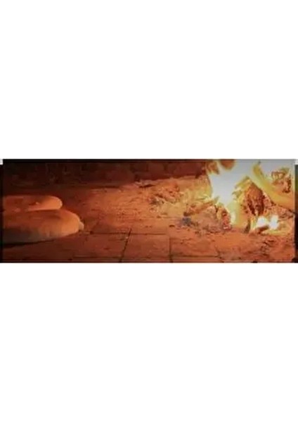 Ebruliemaye 1600 Gram Afyon Odun Ateşinde Ekşi Mayalı Patatesli Köy Ekmeği fiyatları