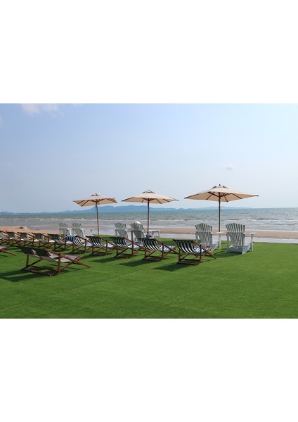 Bermuda grass Uganda çimi 1 kg fiyatları