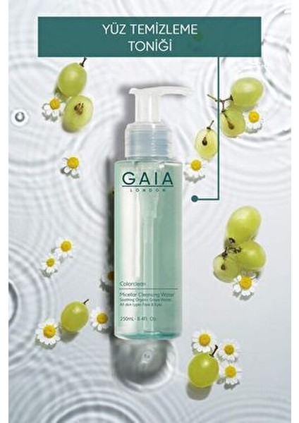 Gözenek Sıkılaştırıcı ve Arındırıcı Tonik 250ML Yağlı/akneye Eğilim Gösteren Ciltler (Color Clean)